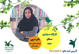 سفال ، مقدماتی سطح 1،نوباوه،هاشم زاده سروستانی، یک شنبه 9:30-10:30،تابستان ،1400 (فارس)
